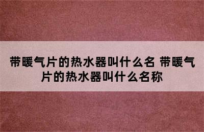 带暖气片的热水器叫什么名 带暖气片的热水器叫什么名称